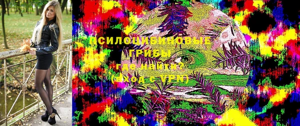 шишки Покров