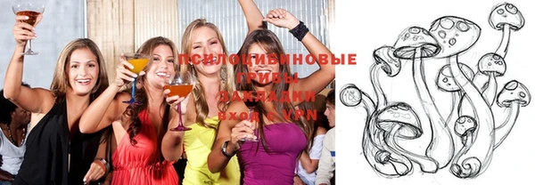 соль ск Абаза