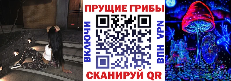 mega ТОР  Каменск-Шахтинский  Галлюциногенные грибы MAGIC MUSHROOMS  закладка 