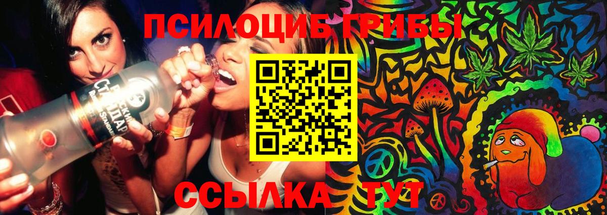 Галлюциногенные грибы Psilocybe Каменск-Шахтинский
