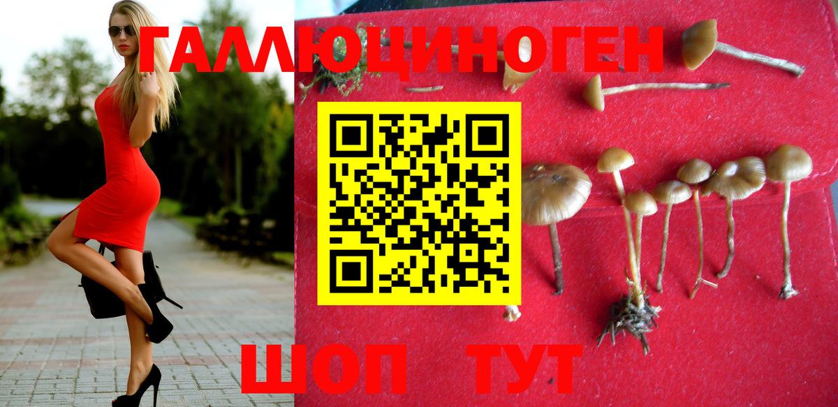 Галлюциногенные грибы MAGIC MUSHROOMS  Вход с VPN  Каменск-Шахтинский 